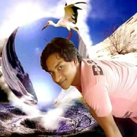 Mridul Mandol