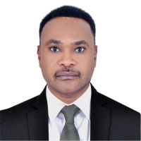 Abdelmonem Ali