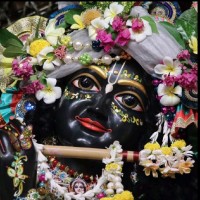 Vani Vasudev