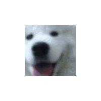 罗志鹏