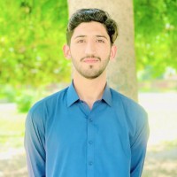 Moeez Ul Hassan