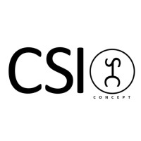 Csi Consulting Concept