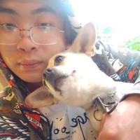 朱天洪