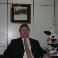 Antonio Anso