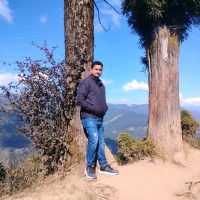 Devashish Biswas