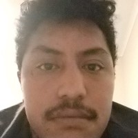 Letua Letua