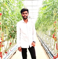 Rohit Gujar