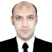 Hosam Abou El-seud