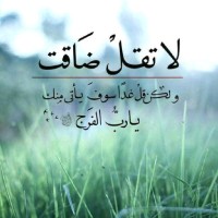 كرار الوائلي