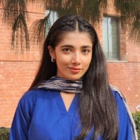 Amna Hussain