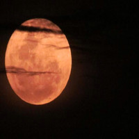 Paola Andrea Manzur Guevara