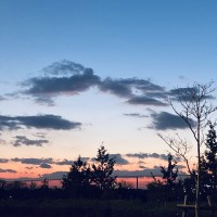 刘美彤