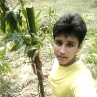 Pushkar Aditya