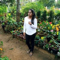 Dureka Sathsara