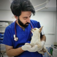 Dr Akeel wani