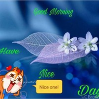 Upendra Ray