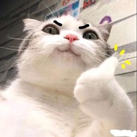 何仁杰