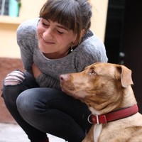 valentina zenoni