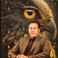 G Mustafa Mustafa