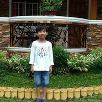 Merli Ann Bajarin