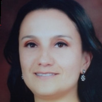 Sandra F Salcedo Niño