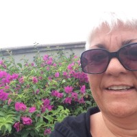 Susan Lampe