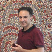 Mojtaba Hamzeh
