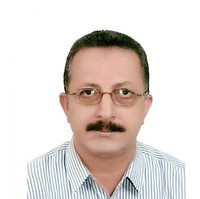 Emadeldeen Elsayed