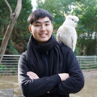 Tommy Wu