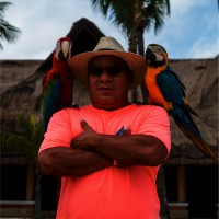 Jose A Estévez