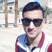 Abdelraouf T. Raouf