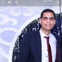 Mohamed Abdelsamed