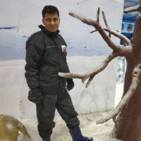 Ashish Aronkar