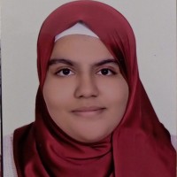 Sara Abdelhady