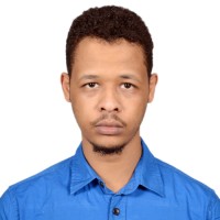 Ayman Ahmed