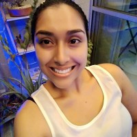 Liset Paola Cortes Velez