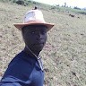 Collins Kiteywo