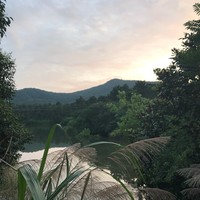 陈家欣