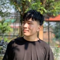 Tuan Long Pham