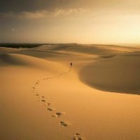 REZA DIMAS SETIAWAN 1