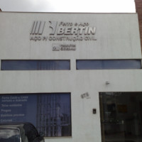Flavio Flavio Bertin