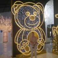 Victor Ruiz de Imaña