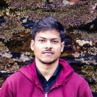 Shovik Poddar