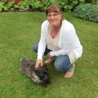 Helle Bilde