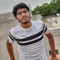 Naveen Raja