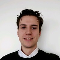 Raoul Truijen