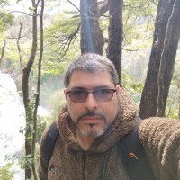 Sergio Andres Palavecino Olave