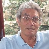 vincenzo adinolfi