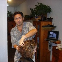 Mark Maniscalco
