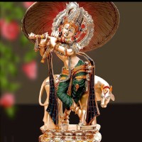 Rajendra Madala